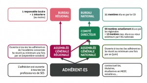 Infographie APSES - schéma instances